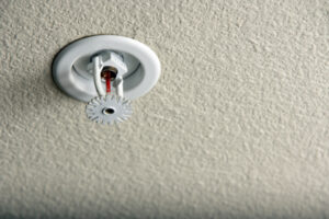 Fireline Fire Sprinkler